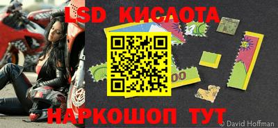 прущие грибы Можайск