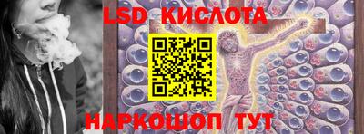 прущие грибы Можайск