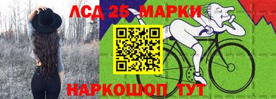 прущие грибы Можайск