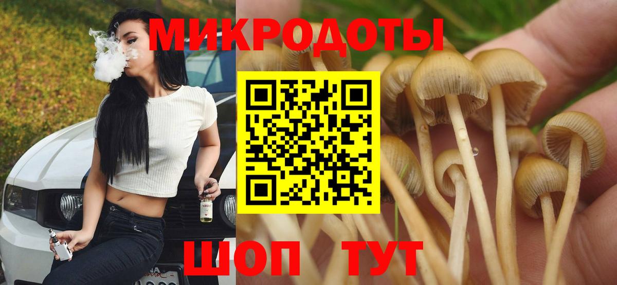 Шадринск  Галлюциногенные грибы GOLDEN TEACHER  Вход с VPN  Псилоцибиновые грибы Psilocybine cubensis 