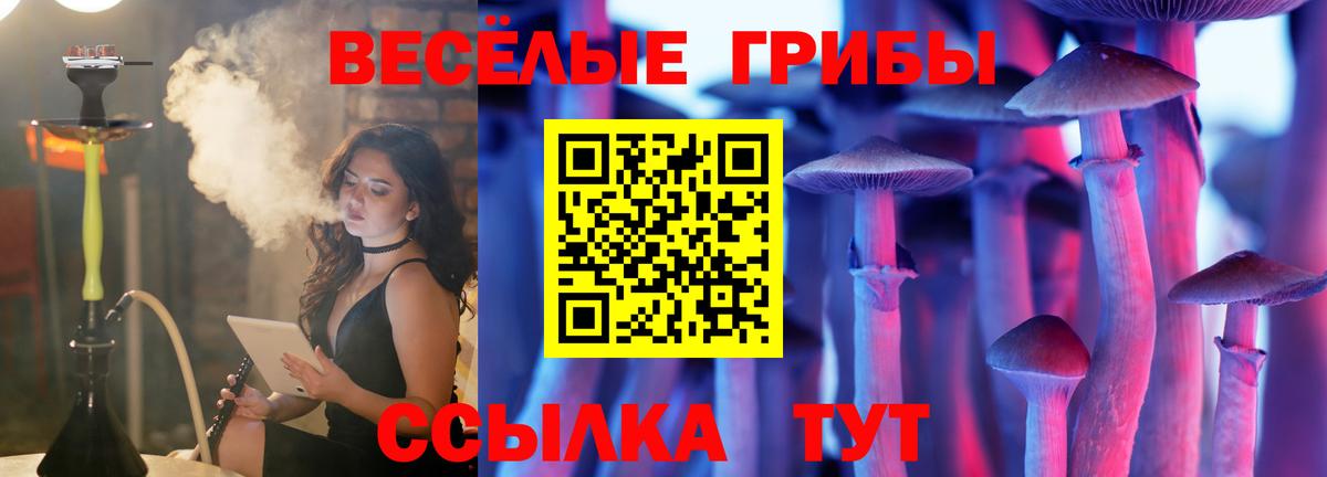 Псилоцибиновые грибы Magic Shrooms Шадринск